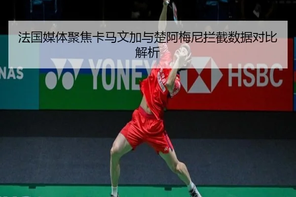 法国媒体聚焦卡马文加与楚阿梅尼拦截数据对比解析